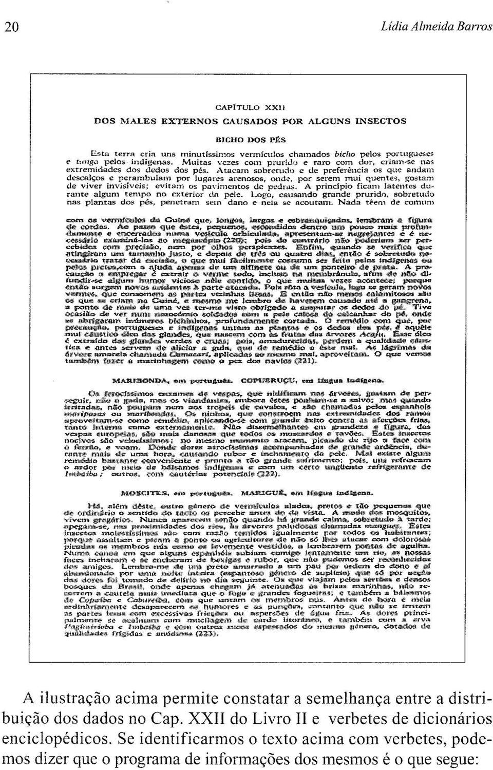 descal~os e perambulam por lugares arenosos, ondc', por serem Tnui quentes, l~ostam de viver invísíveis; evitaní os pavimentos de pcdrus. A principio ficam latentes du.