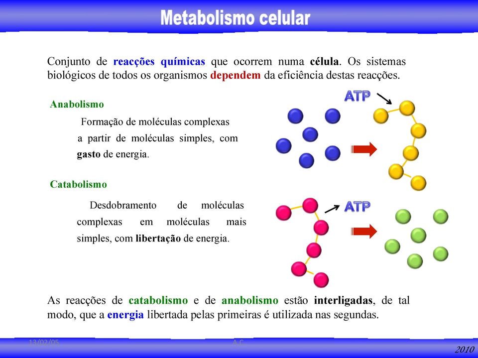 Anabolismo Formação de moléculas complexas a partir de moléculas simples, com gasto de energia.