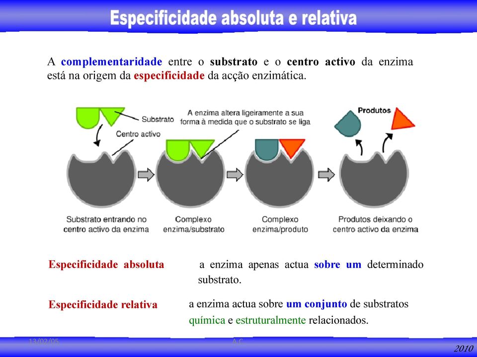 Especificidade absoluta Especificidade relativa a enzima apenas actua sobre