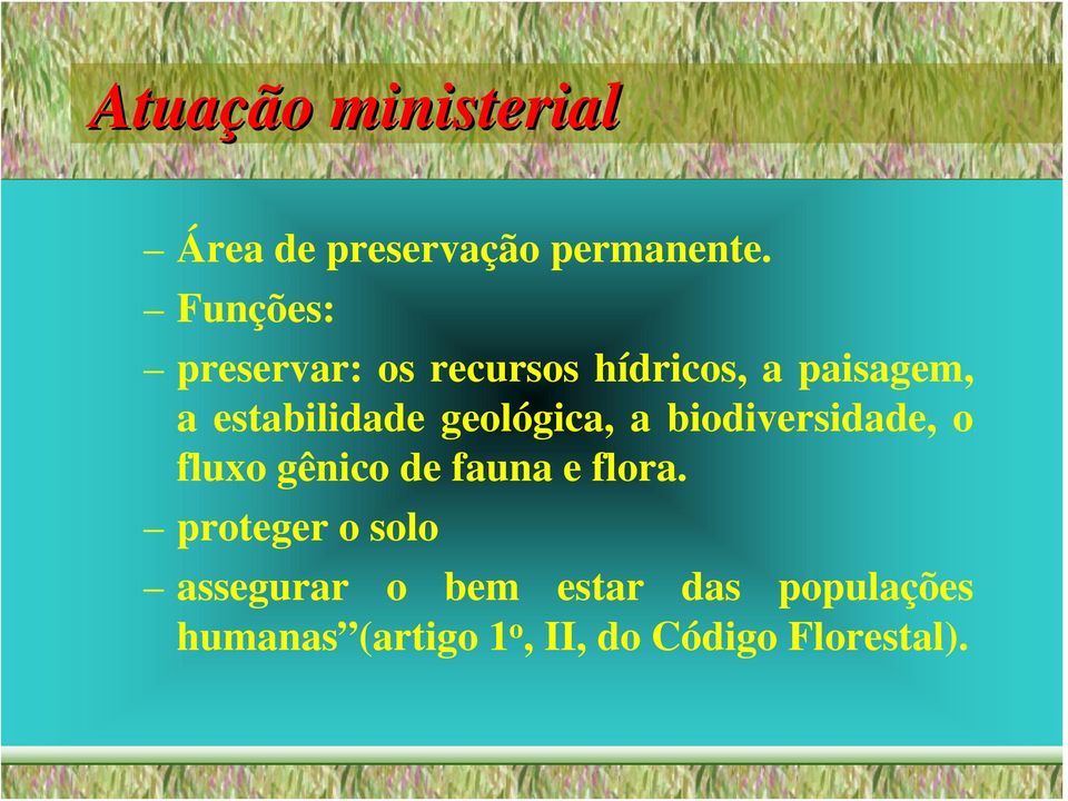 geológica, a biodiversidade, o fluxo gênico de fauna e flora.