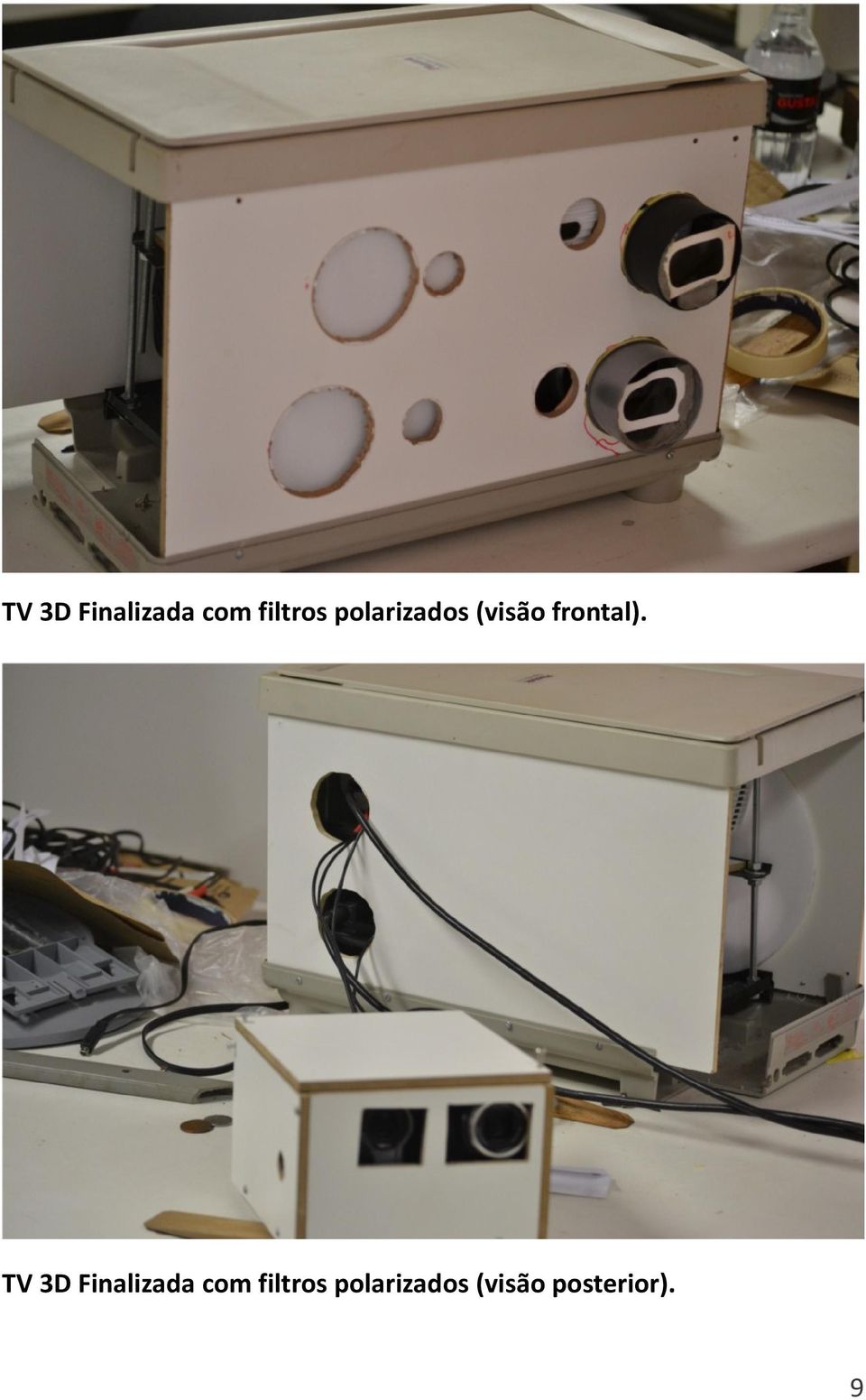 polarizados (visão posterior).