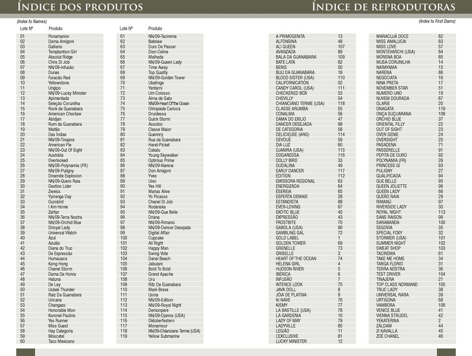 Maltês 20 Das Índias 21 NN/09-Tinajera 22 American Pie 23 NN/09-Out Of Sight 24 Austrália 25 Overlooked 26 NN/09-Polynamia (FR) 27 NN/09-Puligny 28 Dinamite Explosion 29 NN/09-Quero Raia 30 Destino