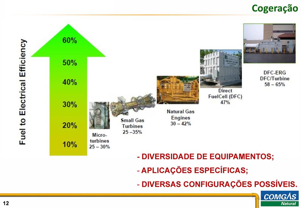 ESPECÍFICAS; - DIVERSAS