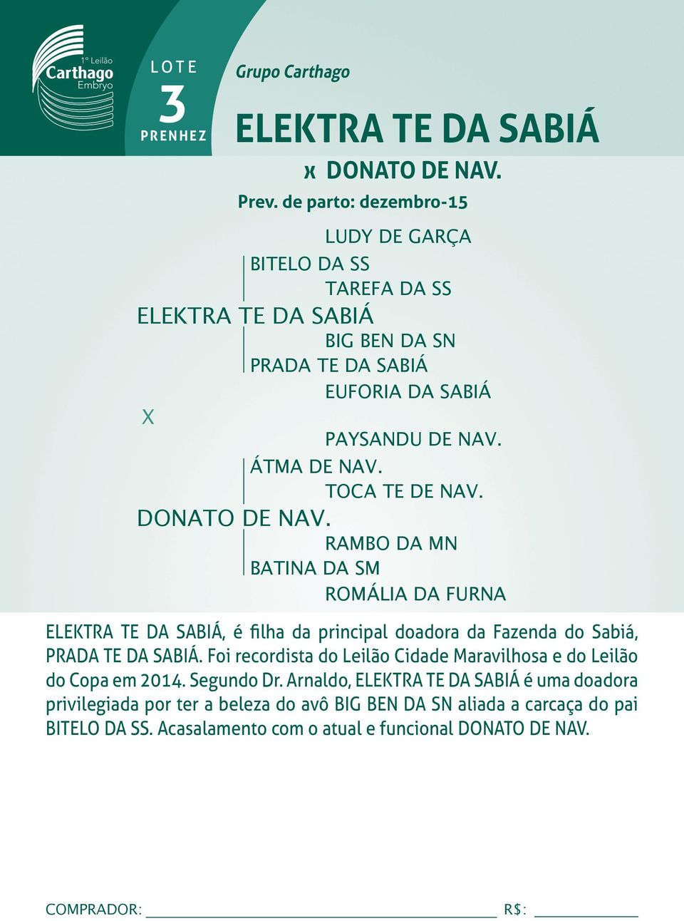 RAMBO DA MN BATINA DA SM ROMÁLIA DA FURNA ELEKTRA TE DA SABIÁ, é filha da principal doadora da Fazenda do Sabiá, PRADA TE DA SABIÁ.