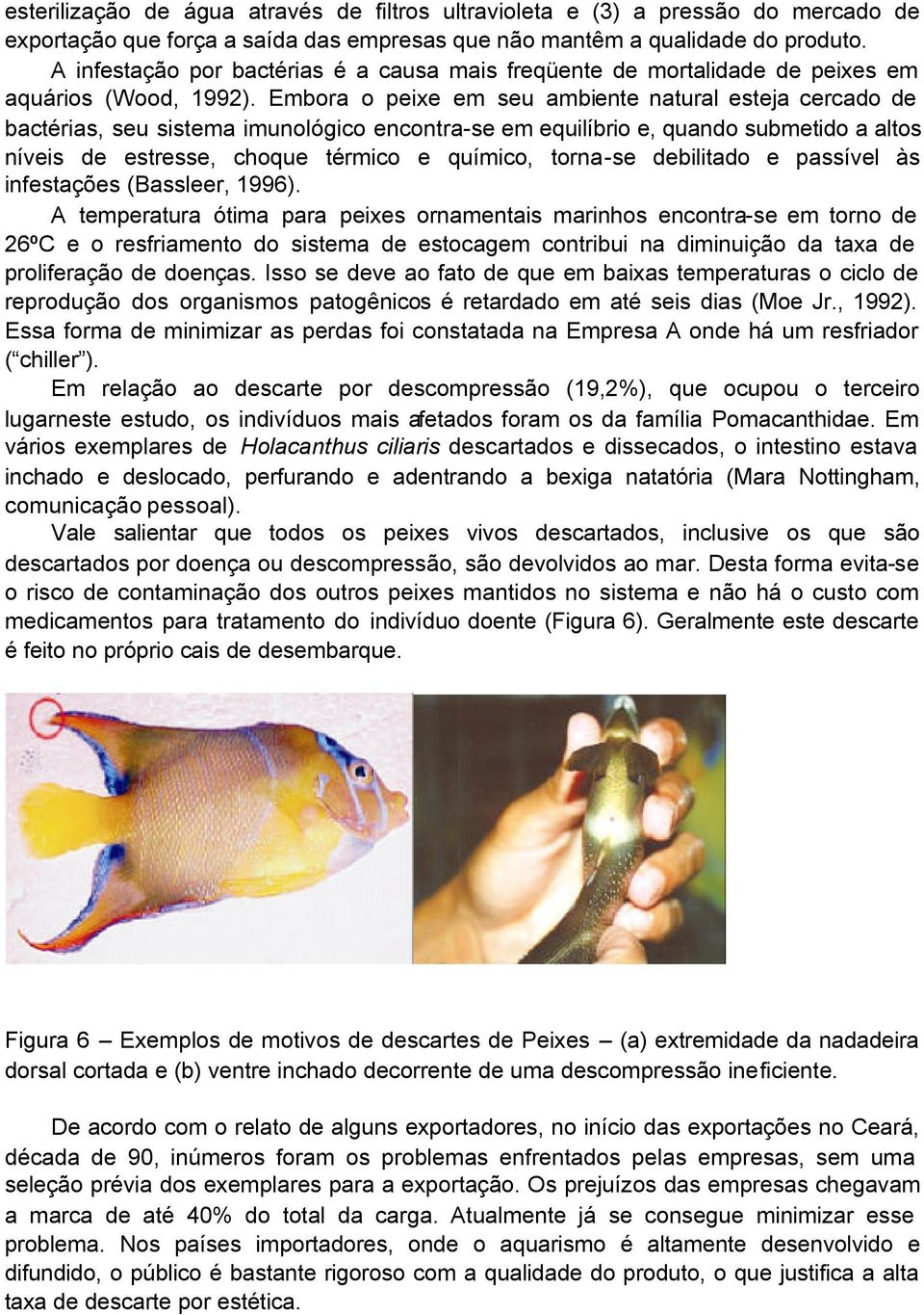 Embora o peixe em seu ambiente natural esteja cercado de bactérias, seu sistema imunológico encontra-se em equilíbrio e, quando submetido a altos níveis de estresse, choque térmico e químico,