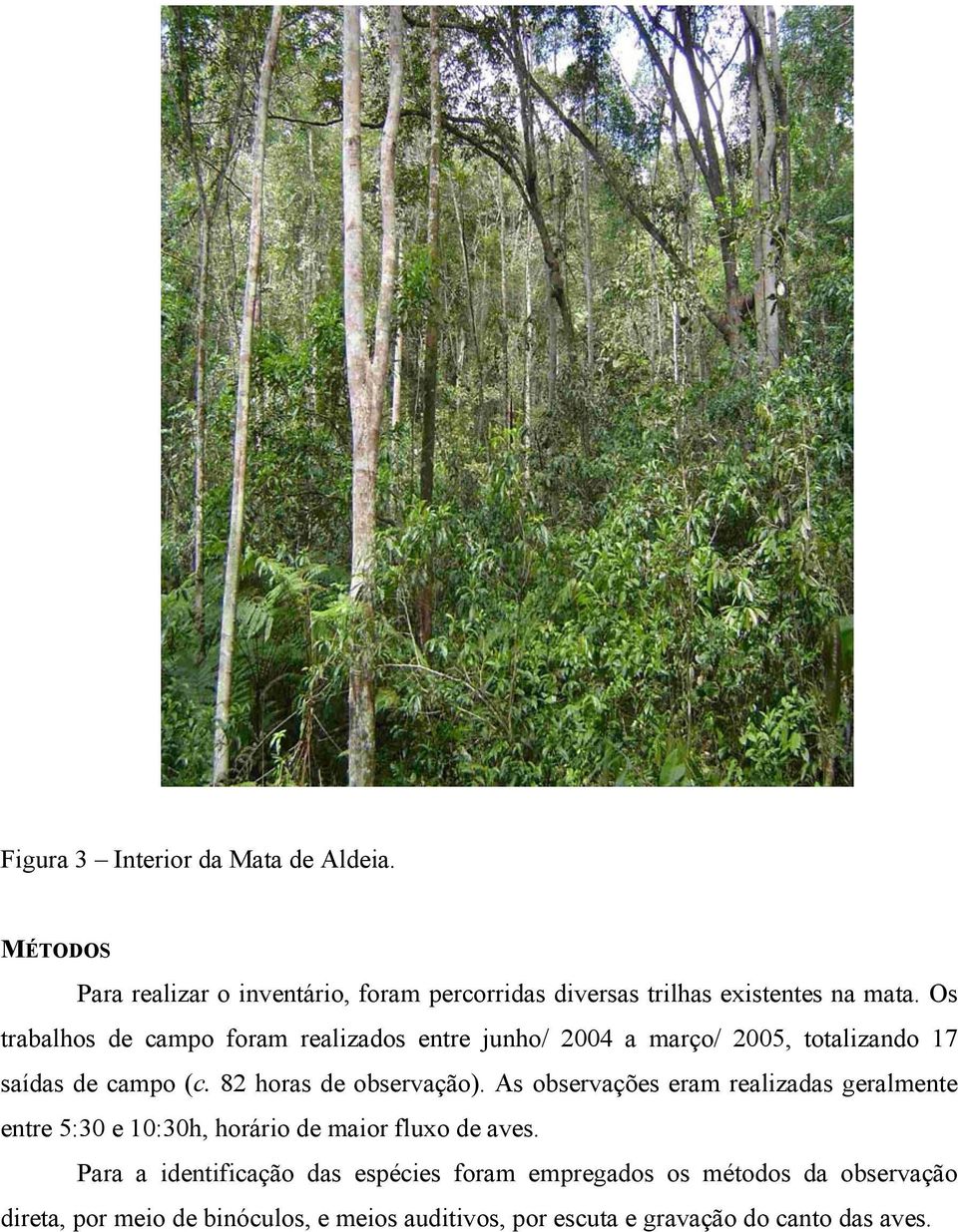 As observações eram realizadas geralmente entre 5:30 e 10:30h, horário de maior fluxo de aves.