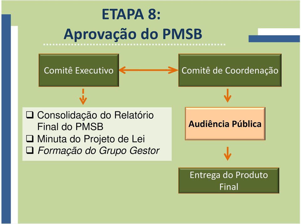 Final do PMSB Minuta do Projeto de Lei Formação