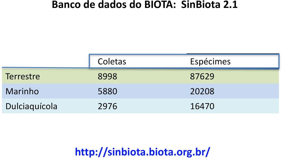 87629 Marinho 5880 20208