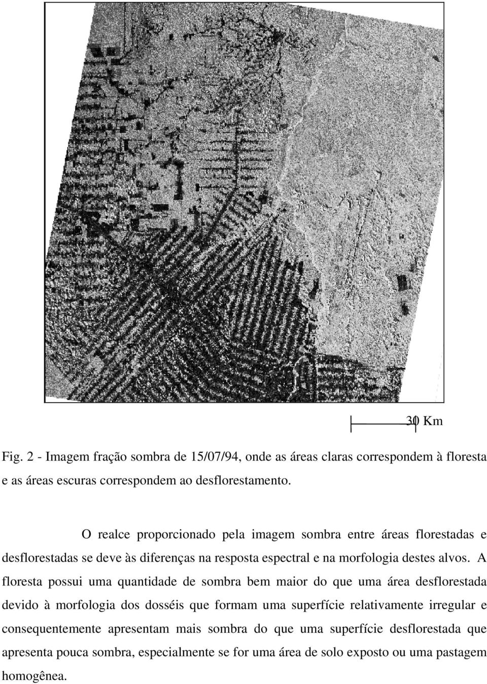 A floresta possui uma quantidade de sombra bem maior do que uma área desflorestada devido à morfologia dos dosséis que formam uma superfície relativamente