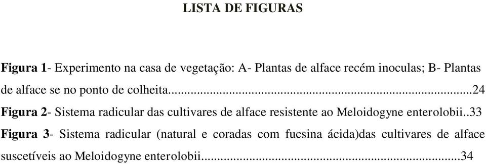 ..24 Figura 2- Sistema radicular das cultivares de alface resistente ao Meloidogyne enterolobii.