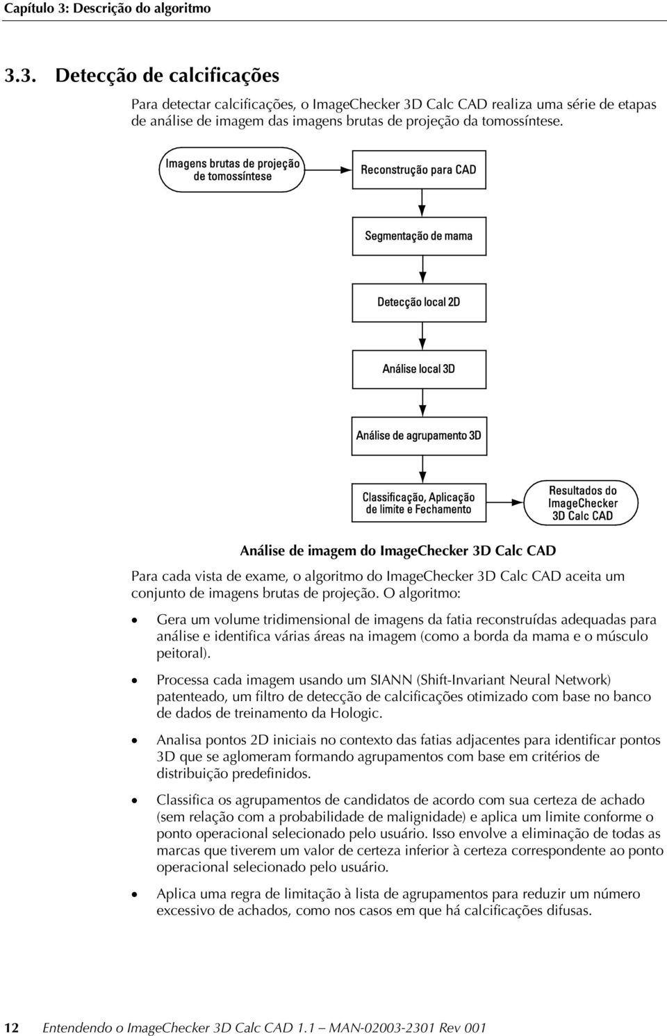 O algoritmo: Gera um volume tridimensional de imagens da fatia reconstruídas adequadas para análise e identifica várias áreas na imagem (como a borda da mama e o músculo peitoral).