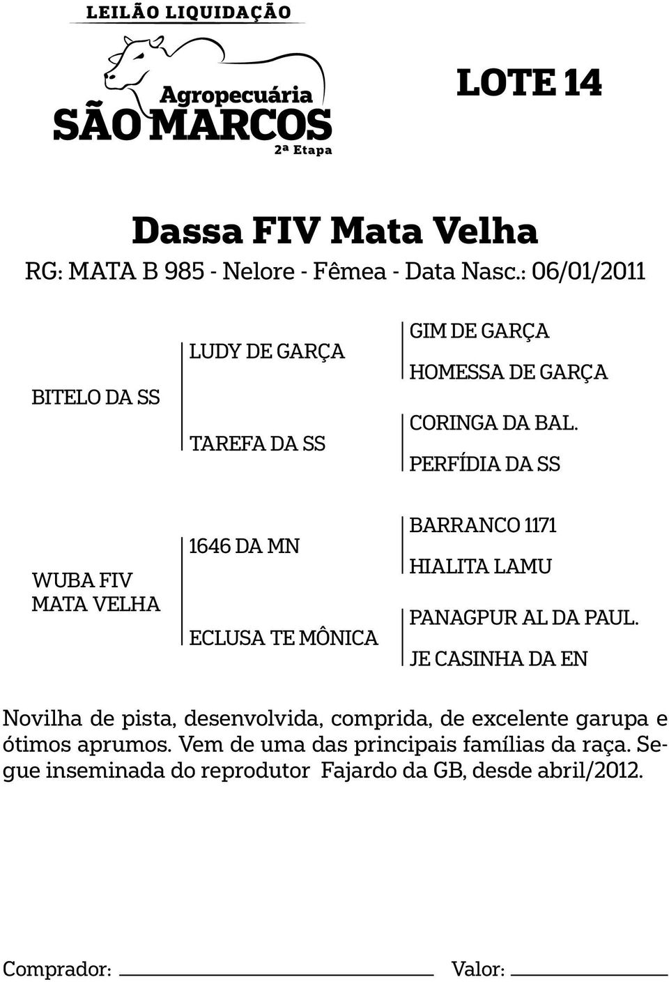 PERFÍDIA DA SS WUBA FIV MATA VELHA 1646 DA MN ECLUSA TE MÔNICA BARRANCO 1171 HIALITA LAMU PANAGPUR AL DA PAUL.