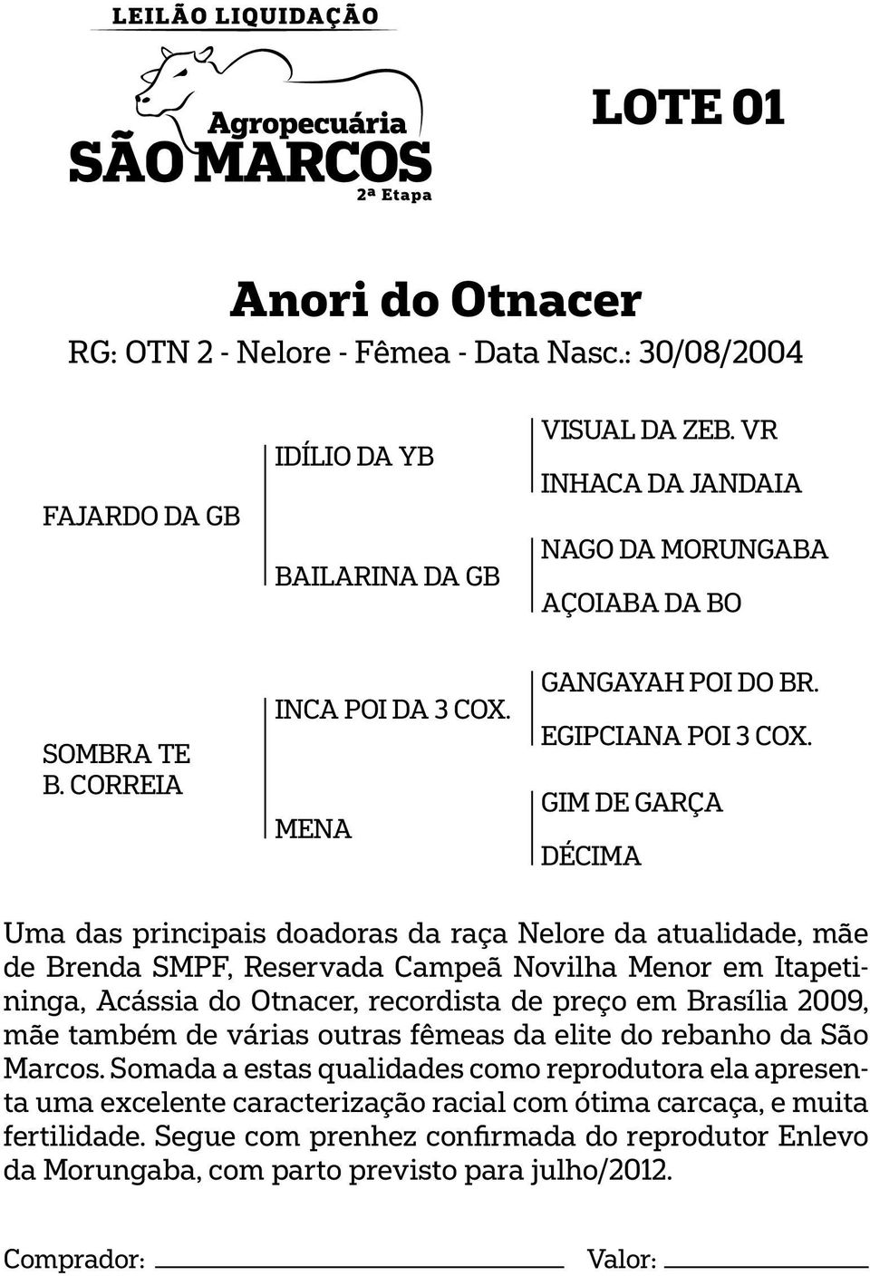 GIM DE GARÇA DÉCIMA Uma das principais doadoras da raça Nelore da atualidade, mãe de Brenda SMPF, Reservada Campeã Novilha Menor em Itapetininga, Acássia do Otnacer, recordista de preço em