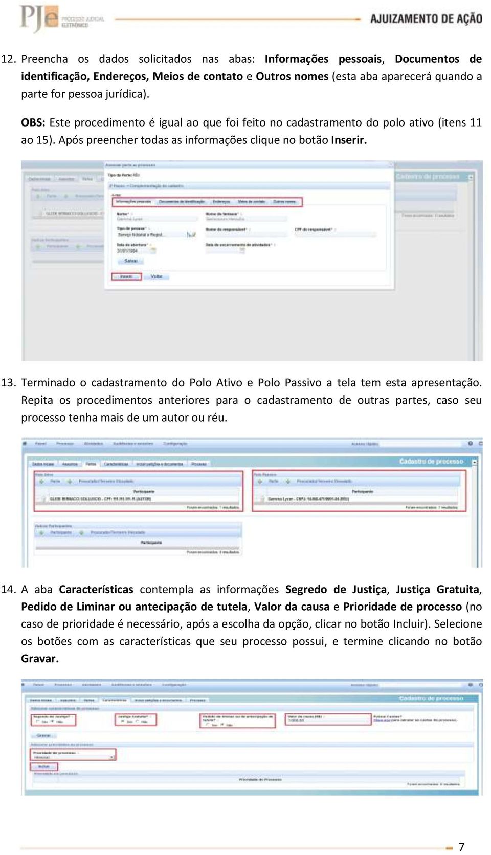 Terminado o cadastramento do Polo Ativo e Polo Passivo a tela tem esta apresentação.