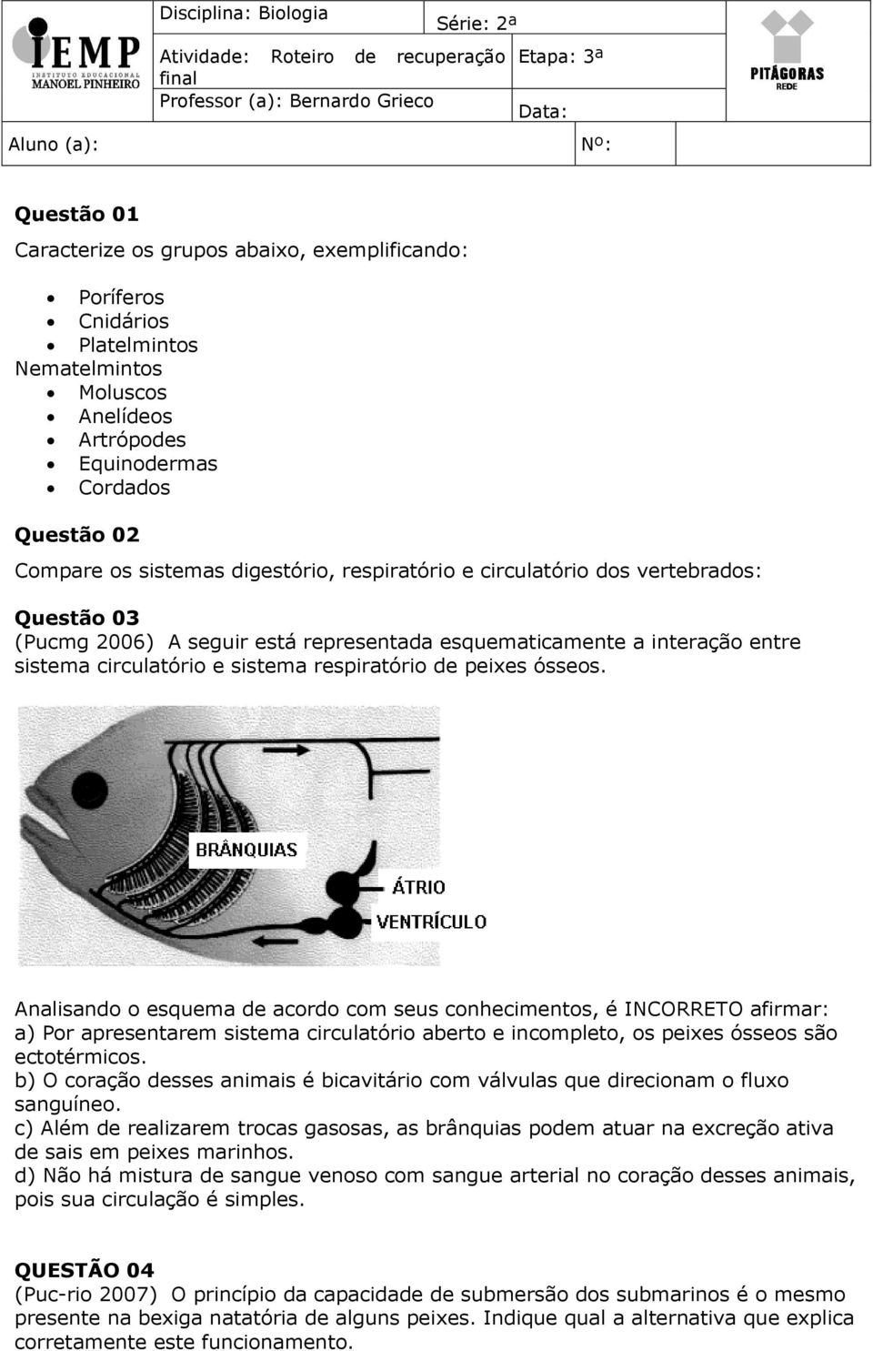 2006) A seguir está representada esquematicamente a interação entre sistema circulatório e sistema respiratório de peixes ósseos.