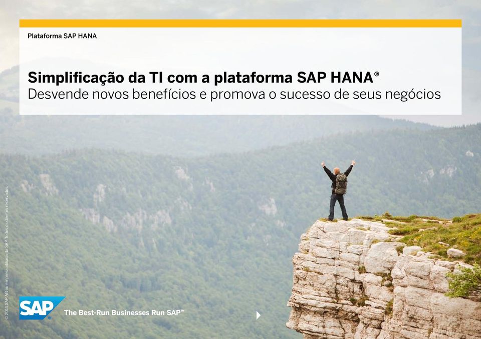 plataforma SAP HANA Desvende