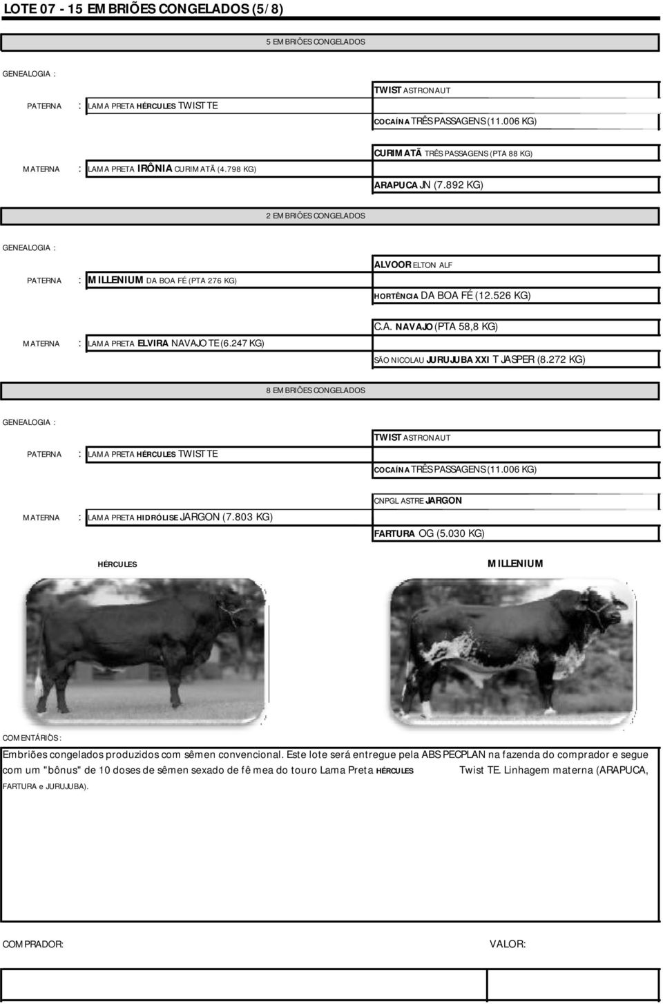 526 KG) : LAMA PRETA ELVIRA NAVAJO TE (6.247 KG) C.A. NAVAJO (PTA 58,8 KG) SÃO NICOLAU JURUJUBA XXI T JASPER (8.