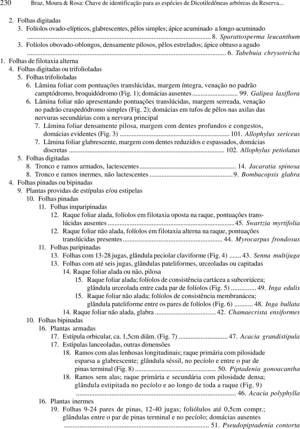 Folíolos obovado-oblongos, densamente pilosos, pêlos estrelados; ápice obtuso a agudo... 6. Tabebuia chrysotricha 1. Folhas de filotaxia alterna 4. Folhas digitadas ou trifolioladas 5.