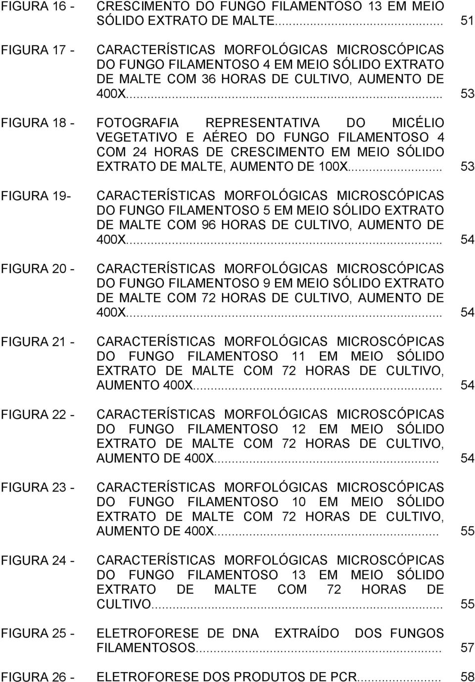 .. 53 FIGURA 18 - FOTOGRAFIA REPRESENTATIVA DO MICÉLIO VEGETATIVO E AÉREO DO FUNGO FILAMENTOSO 4 COM 24 HORAS DE CRESCIMENTO EM MEIO SÓLIDO EXTRATO DE MALTE, AUMENTO DE 100X.