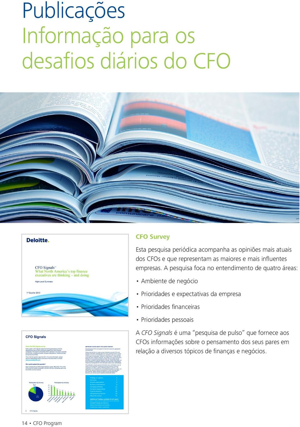 A pesquisa foca no entendimento de quatro áreas: Ambiente de negócio Prioridades e expectativas da empresa Prioridades