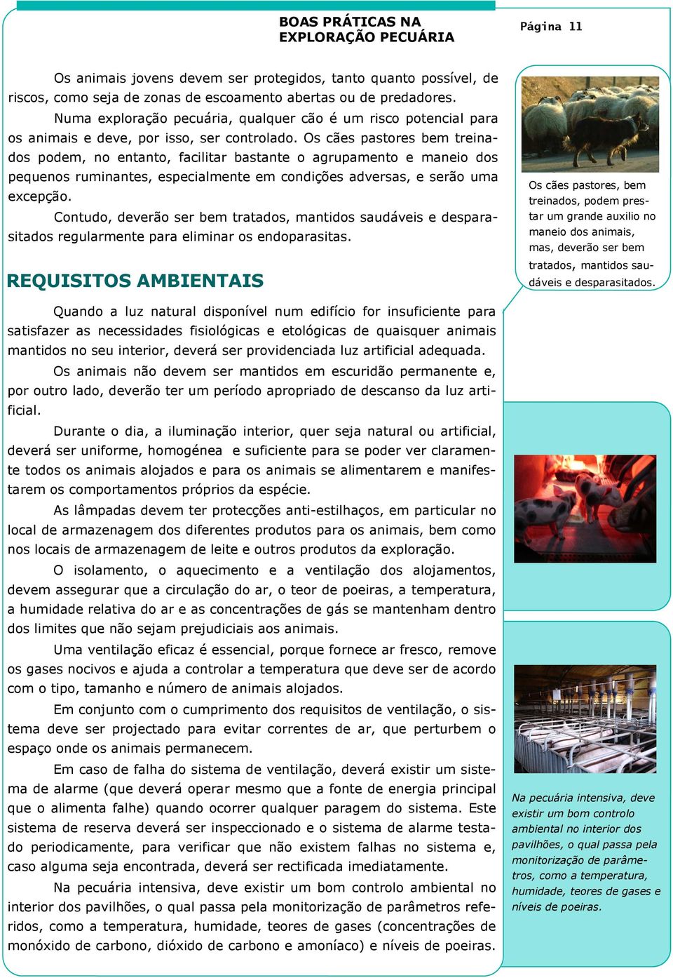 Os cães pastores bem treinados podem, no entanto, facilitar bastante o agrupamento e maneio dos pequenos ruminantes, especialmente em condições adversas, e serão uma excepção.