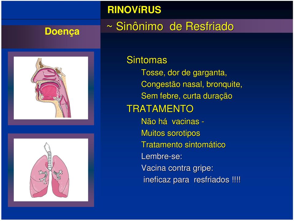 TRATAMENTO Não há vacinas - Muitos sorotipos Tratamento