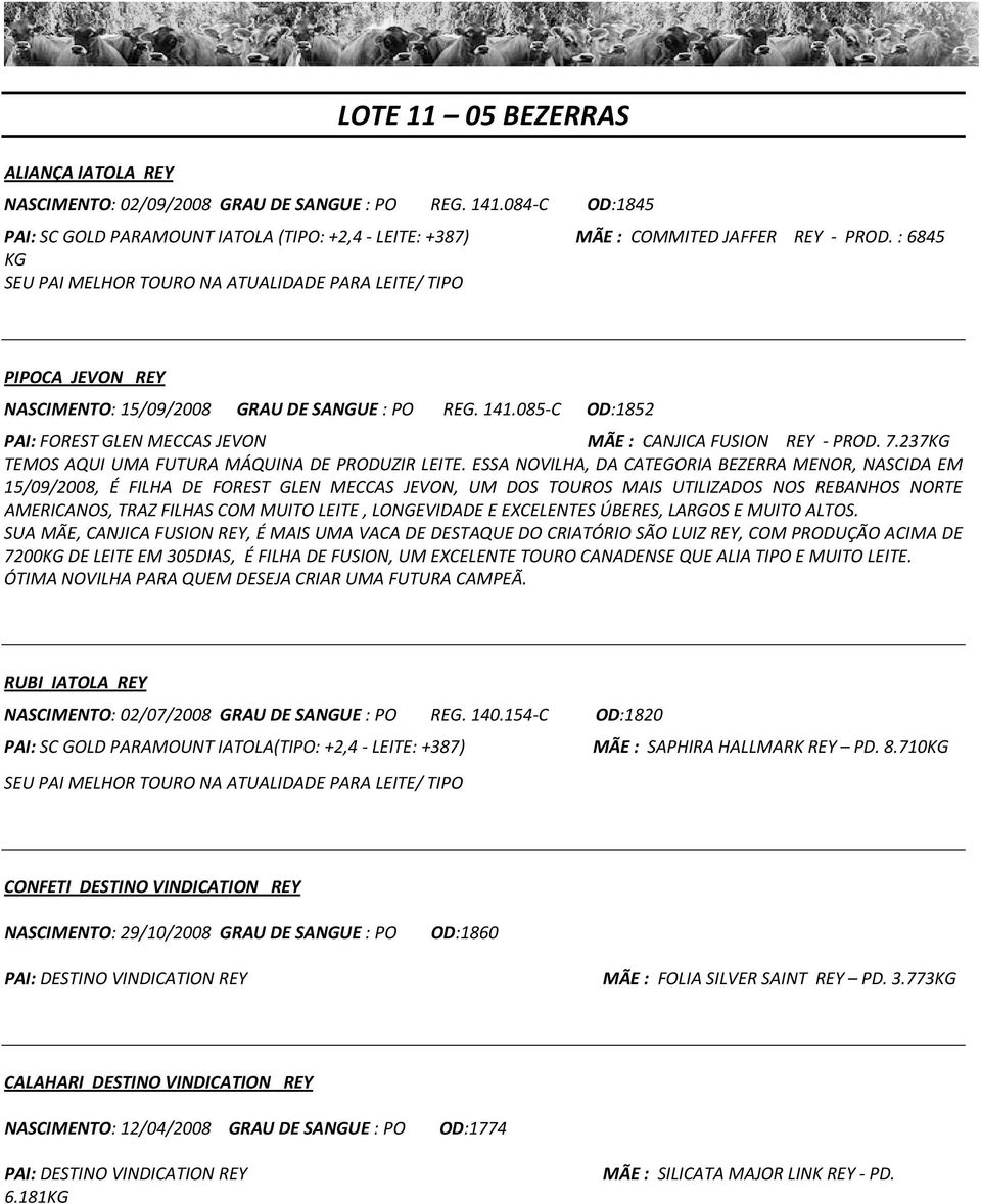 085-C OD:1852 PAI: FOREST GLEN MECCAS JEVON MÃE : CANJICA FUSION REY - PROD. 7.237KG TEMOS AQUI UMA FUTURA MÁQUINA DE PRODUZIR LEITE.