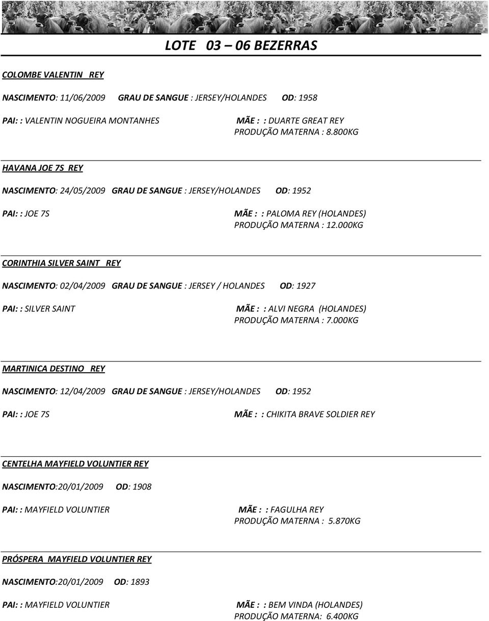000KG CORINTHIA SILVER SAINT REY NASCIMENTO: 02/04/2009 GRAU DE SANGUE : JERSEY / HOLANDES OD: 1927 PAI: : SILVER SAINT MÃE : : ALVI NEGRA (HOLANDES) PRODUÇÃO MATERNA : 7.