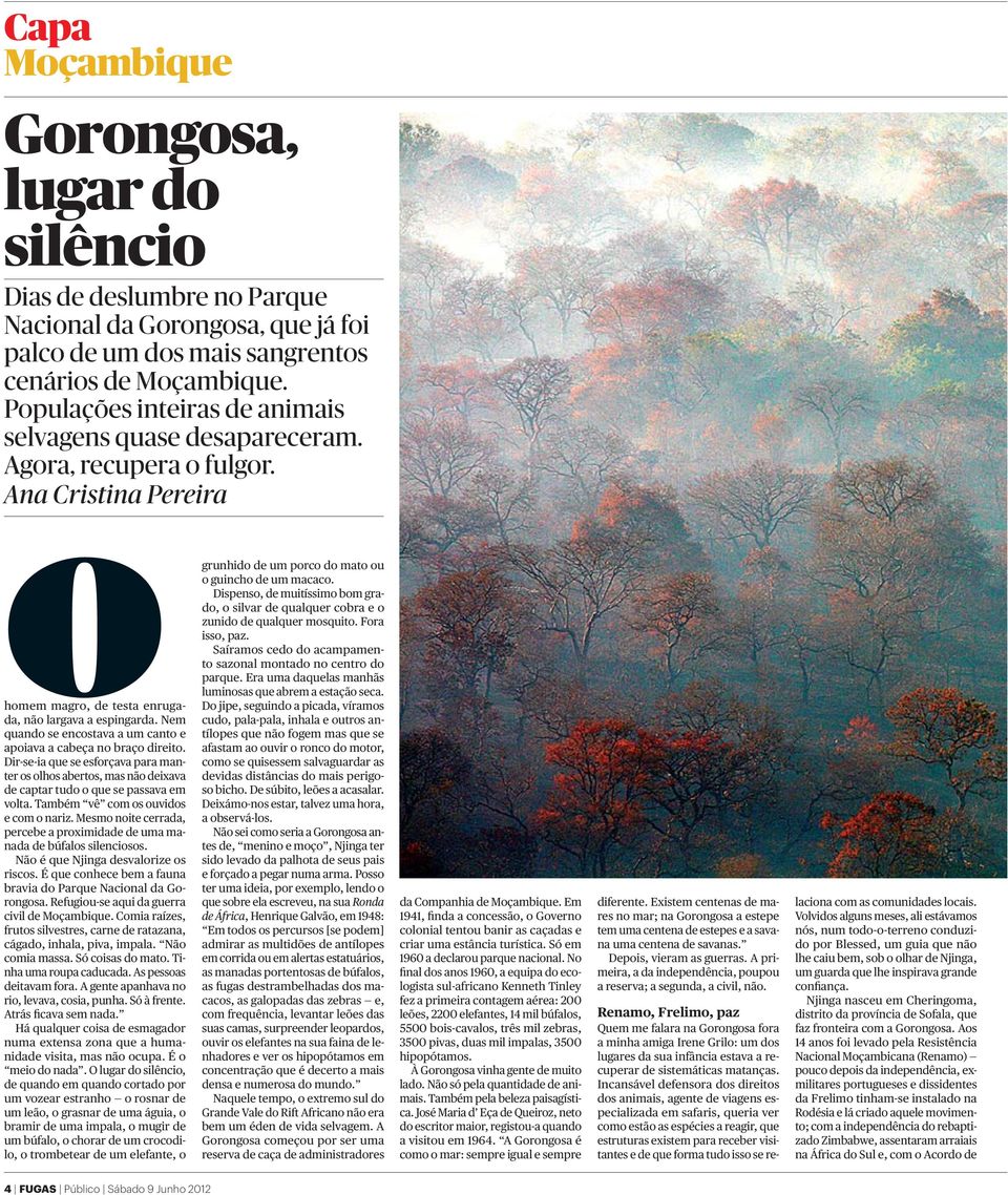 Nem quando se encostava a um canto e apoiava a cabeça no braço direito. Dir-se-ia que se esforçava para manter os olhos abertos, mas não deixava de captar tudo o que se passava em volta.