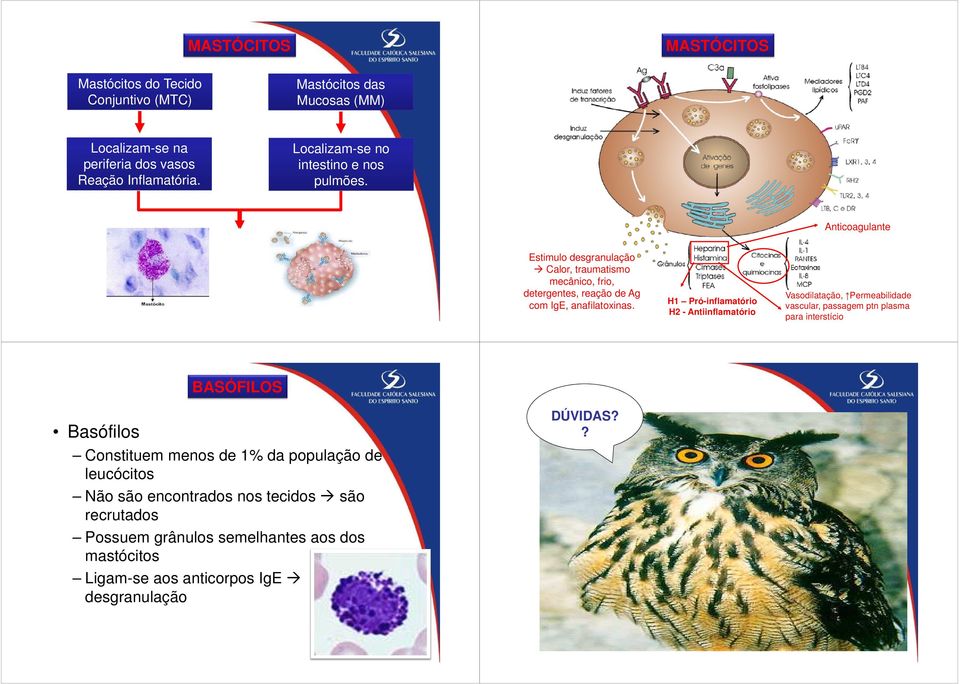 Anticoagulante Estimulo desgranulação Calor, traumatismo mecânico, frio, detergentes, reação de Ag com IgE, anafilatoxinas.