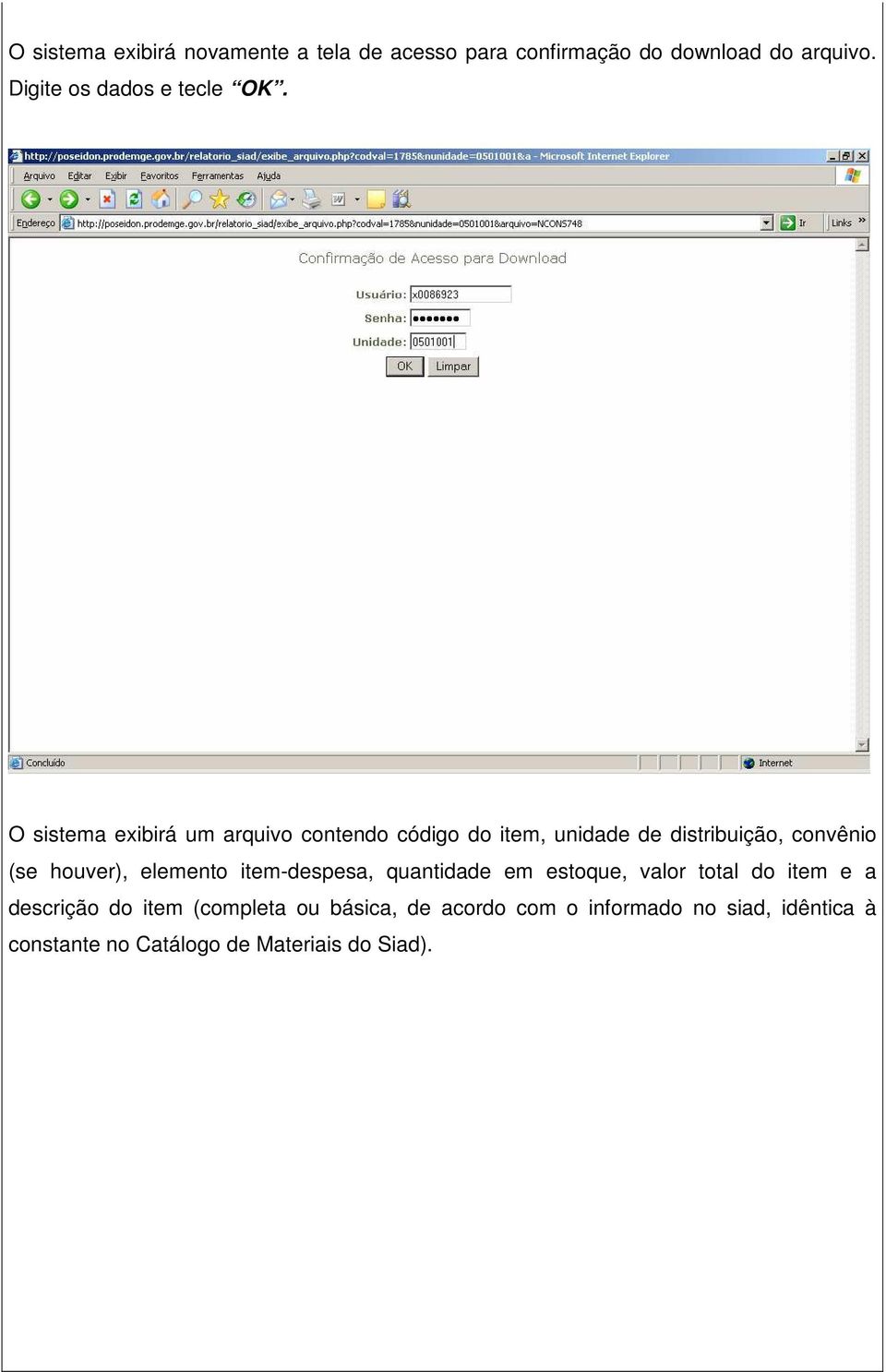 O sistema exibirá um arquivo contendo código do item, unidade de distribuição, convênio (se houver),