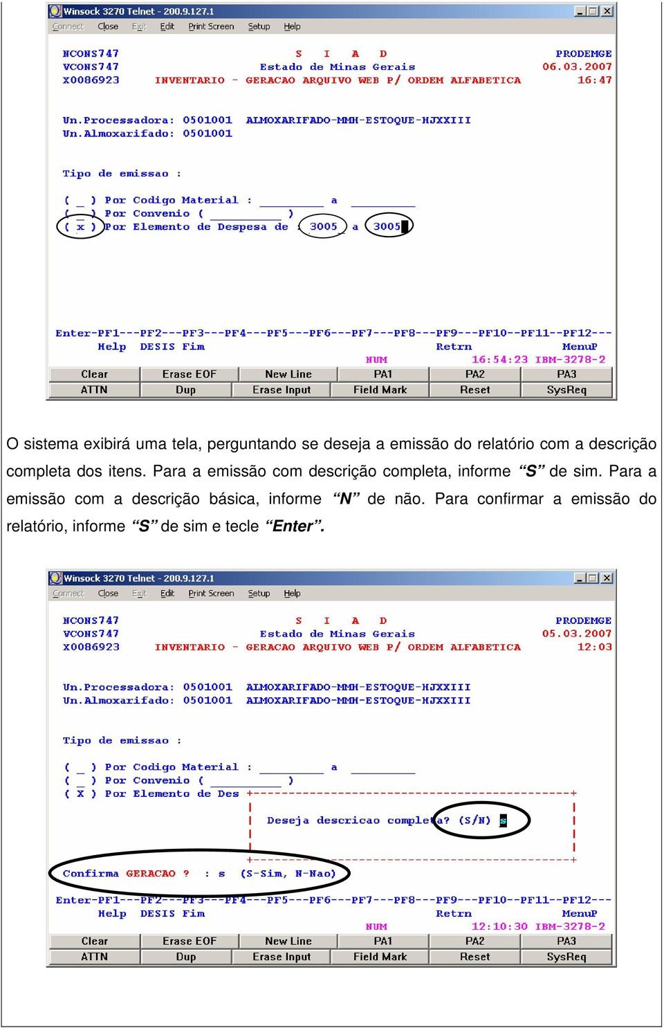 Para a emissão com descrição completa, informe S de sim.