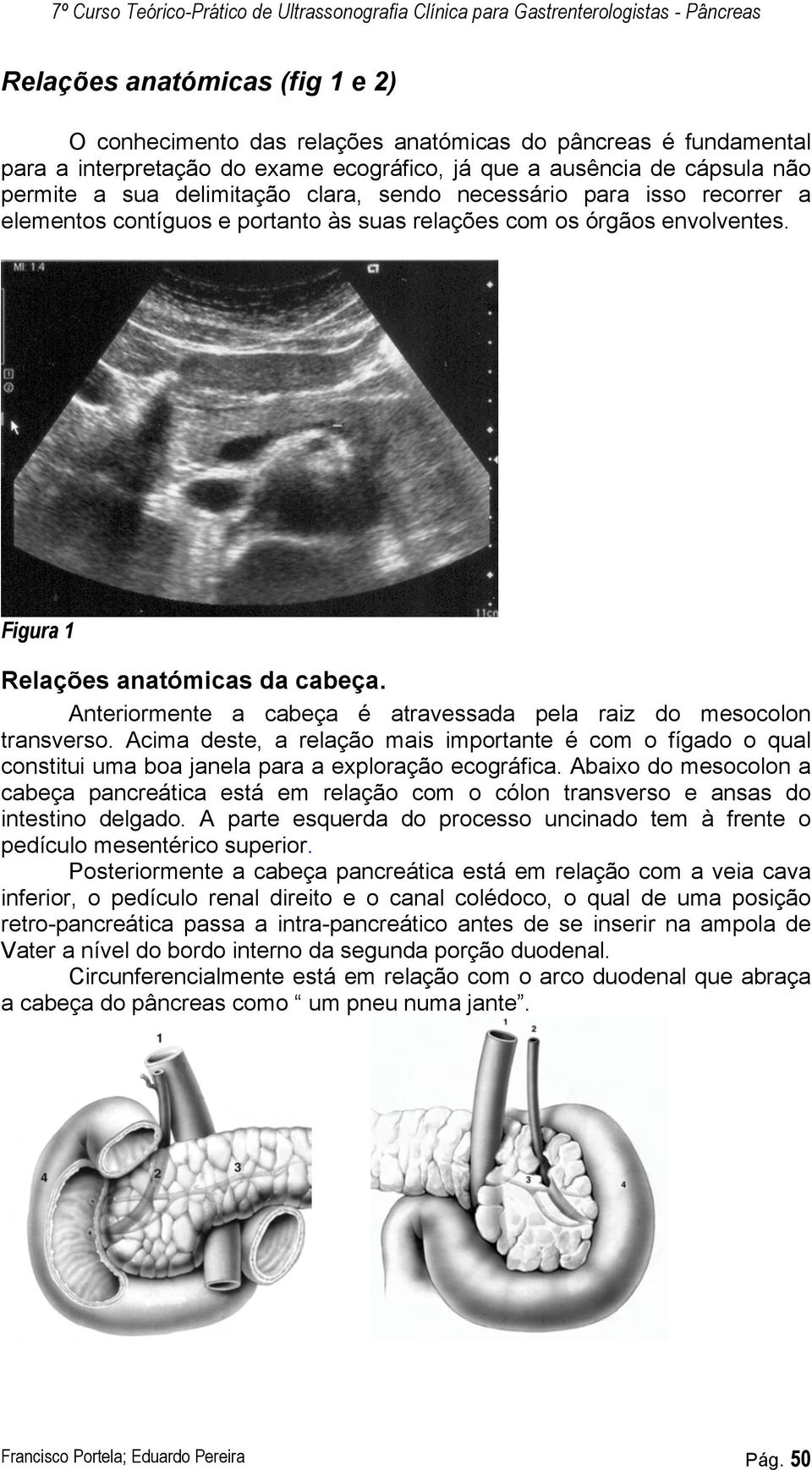 órgãos envolventes. Figura 1 Relações anatómicas da cabeça. Anteriormente a cabeça é atravessada pela raiz do mesocolon transverso.