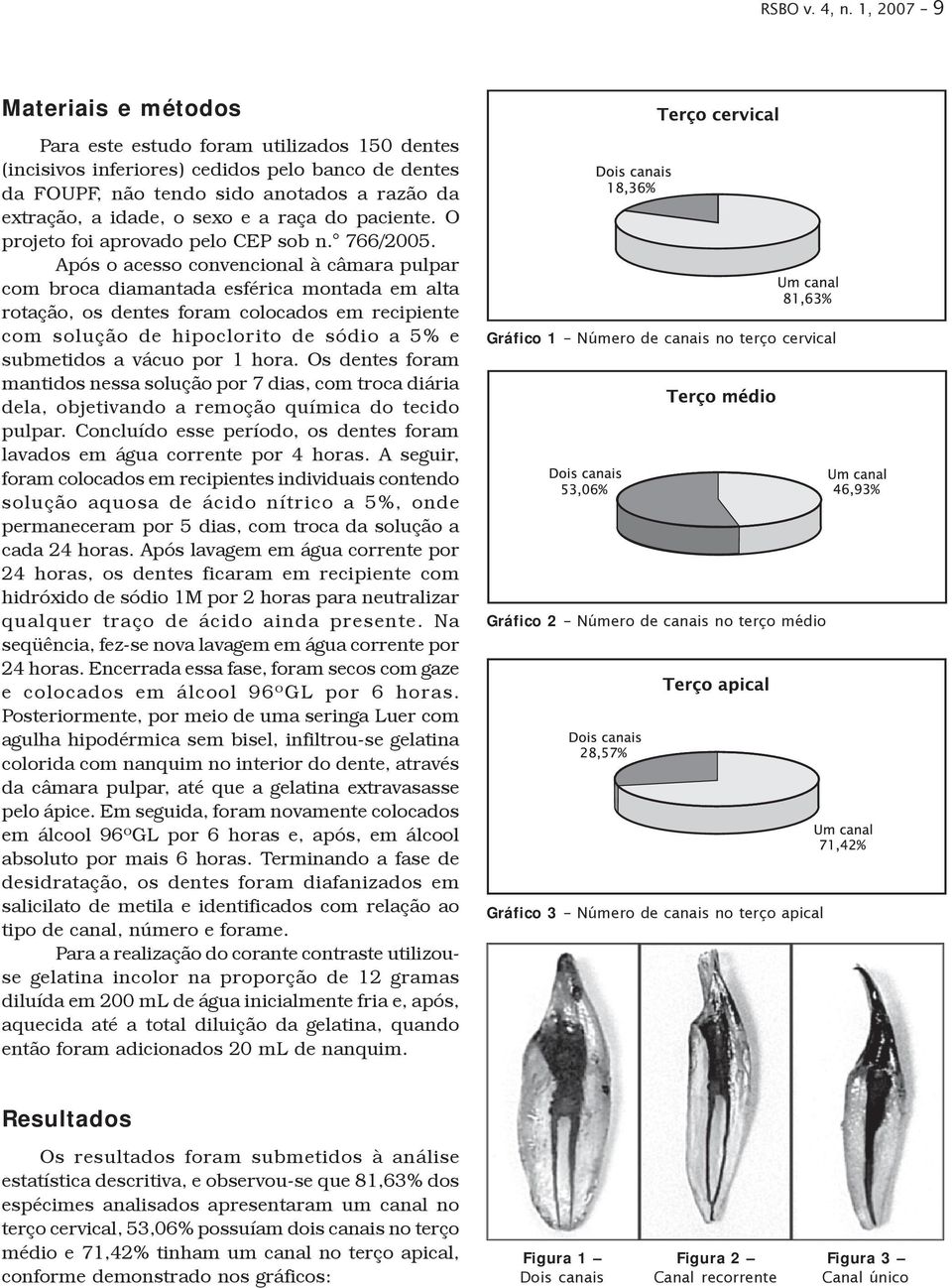 a raça do paciente. O projeto foi aprovado pelo CEP sob n. 766/2005.