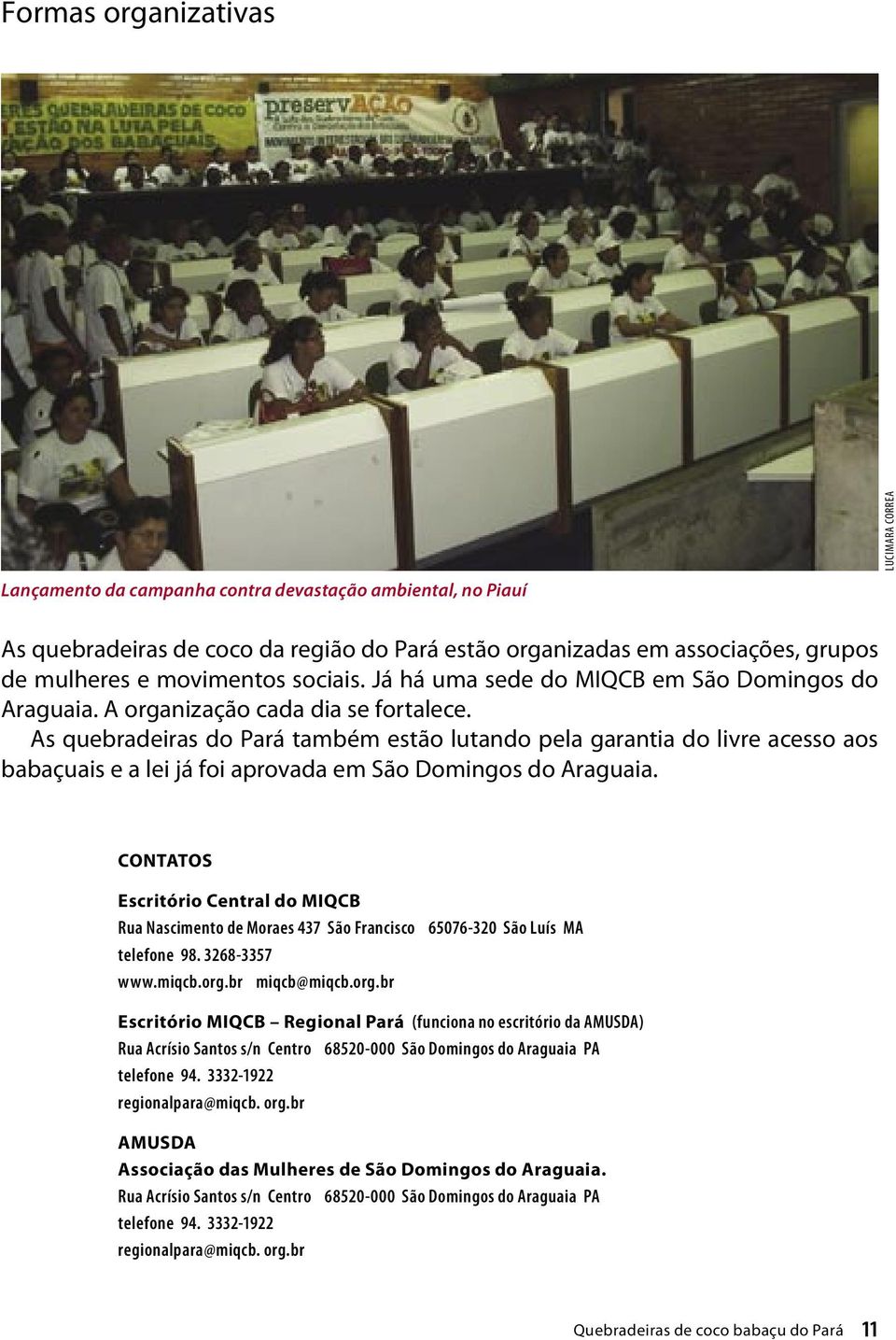 As quebradeiras do Pará também estão lutando pela garantia do livre acesso aos babaçuais e a lei já foi aprovada em São Domingos do Araguaia.
