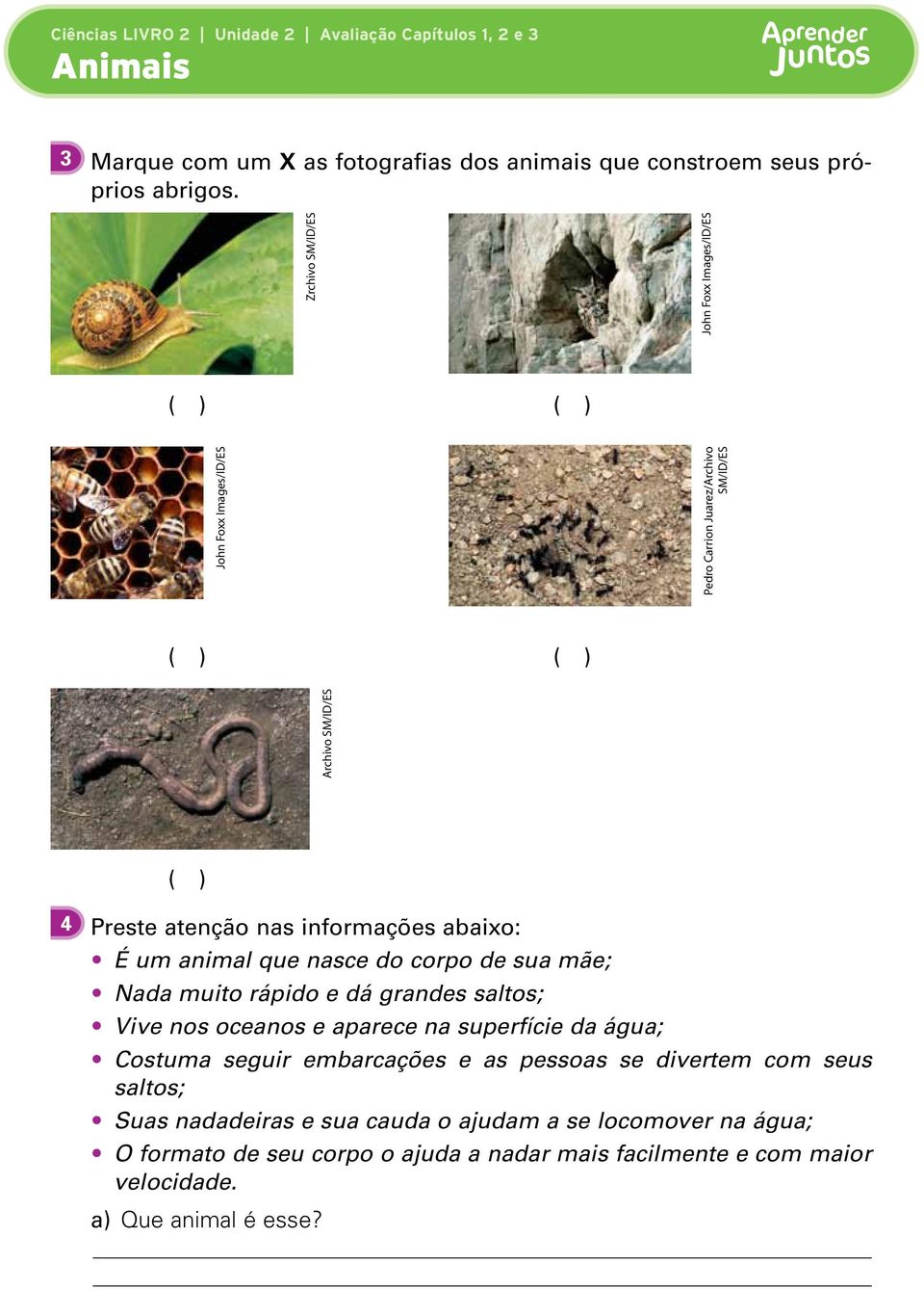 nas informações abaixo: É um animal que nasce do corpo de sua mãe; Nada muito rápido e dá grandes saltos; Vive nos oceanos e aparece na superfície da água;