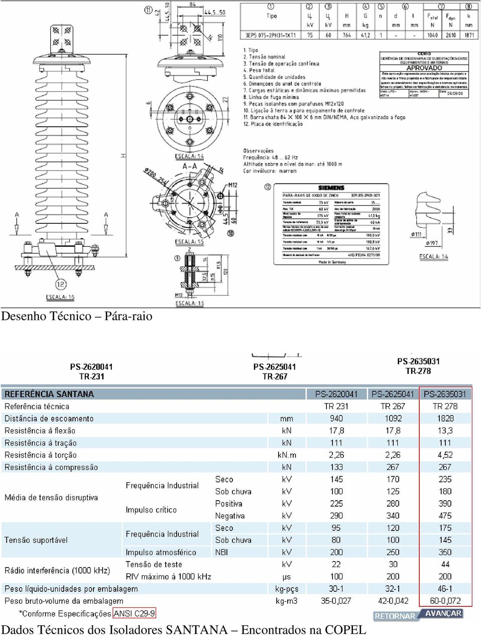 Técnicos dos