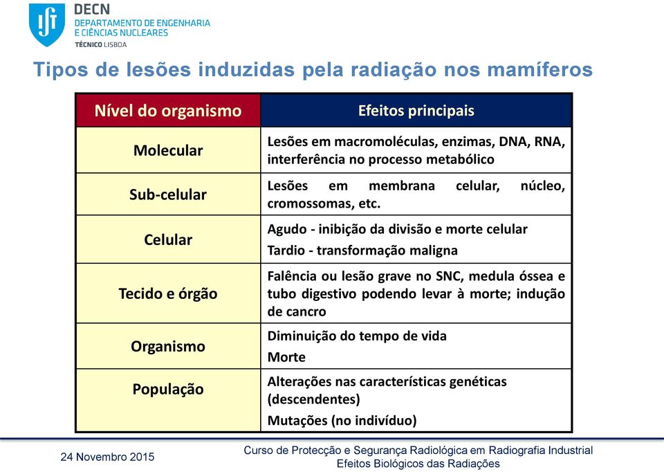 Agudo - inibição da divisão e morte celular Tardio - transformação maligna Falência ou lesão grave no SNC, medula óssea e tubo digestivo podendo