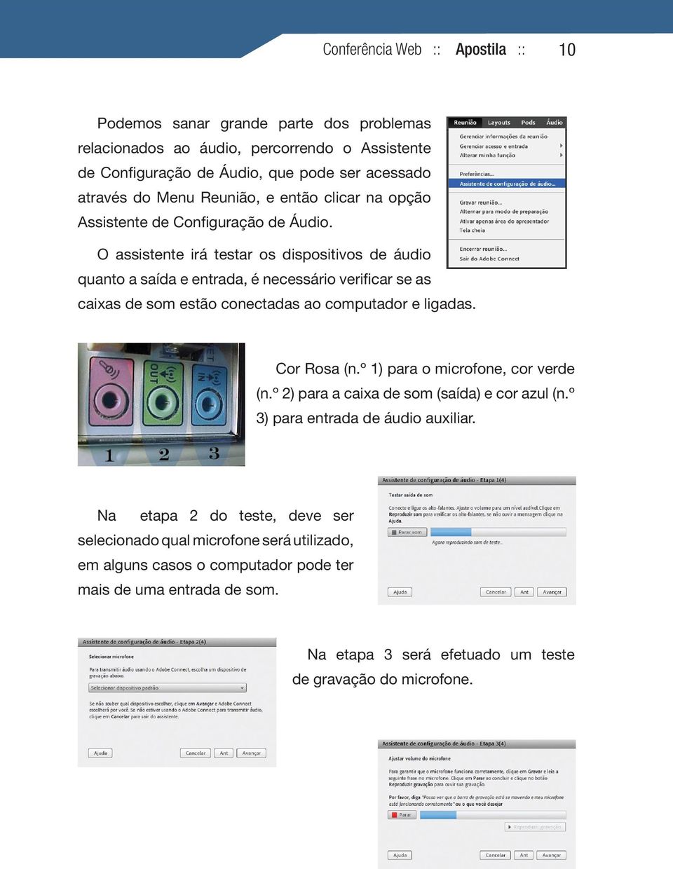 O assistente irá testar os dispositivos de áudio quanto a saída e entrada, é necessário verificar se as caixas de som estão conectadas ao computador e ligadas. Cor Rosa (n.