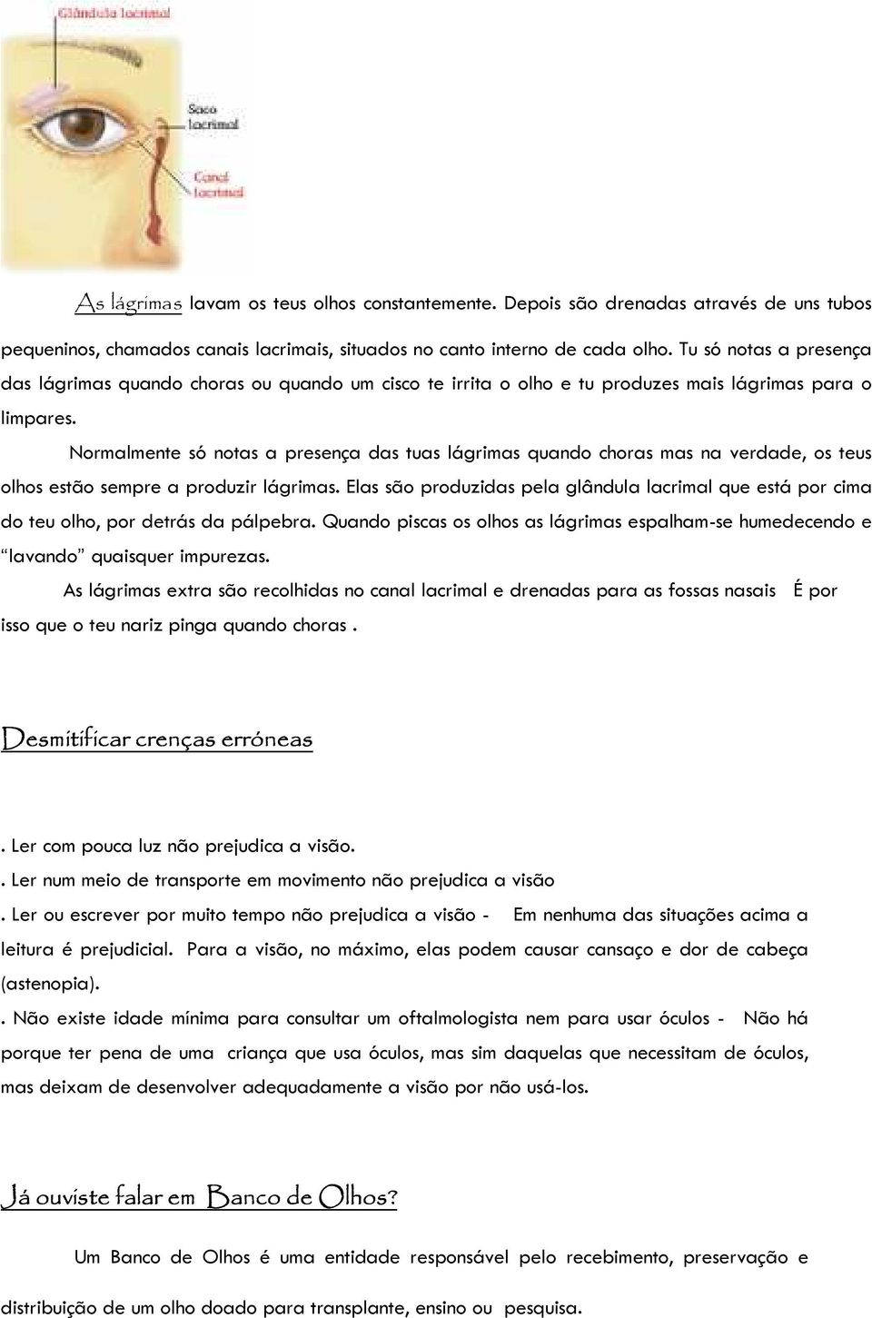 Normalmente só notas a presença das tuas lágrimas quando choras mas na verdade, os teus olhos estão sempre a produzir lágrimas.