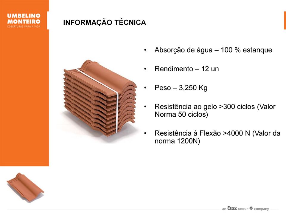 Resistência ao gelo >300 ciclos (Valor Norma 50