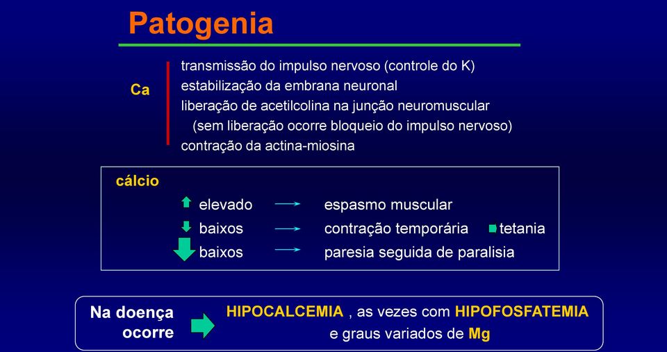 contração da actina-miosina cálcio elevado espasmo muscular baixos contração temporária tetania