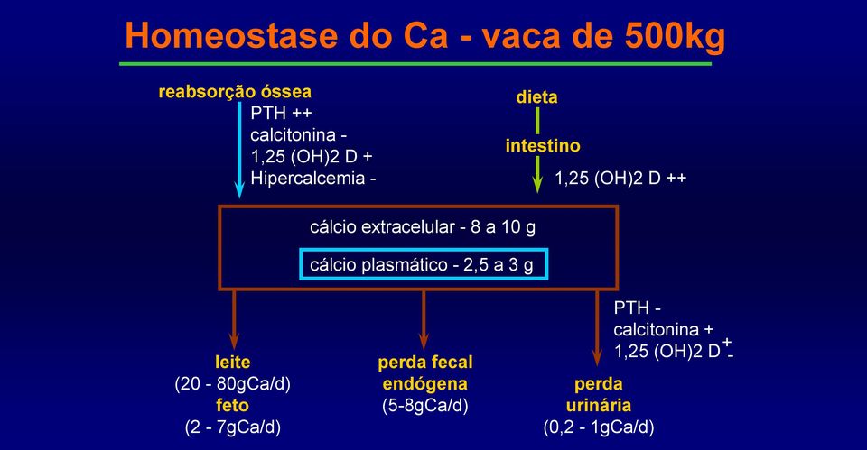 (2-7gCa/d) cálcio extracelular - 8 a 10 g cálcio plasmático - 2,5 a 3 g perda