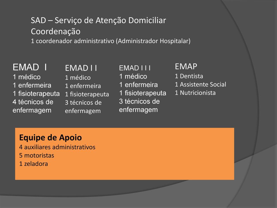 3 técnicos de enfermagem EMAD I I I 1 médico 1 enfermeira 1 fisioterapeuta 3 técnicos de enfermagem EMAP 1