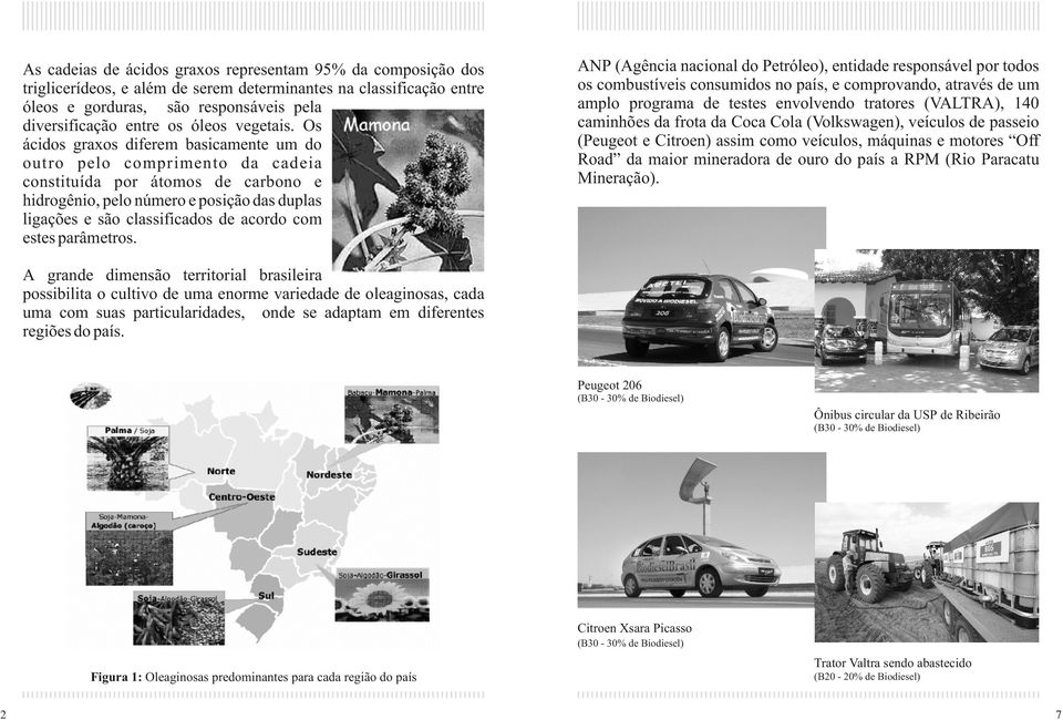 Os ácidos graxos diferem basicamente um do outro pelo comprimento da cadeia constituída por átomos de carbono e hidrogênio, pelo número e posição das duplas ligações e são classificados de acordo com