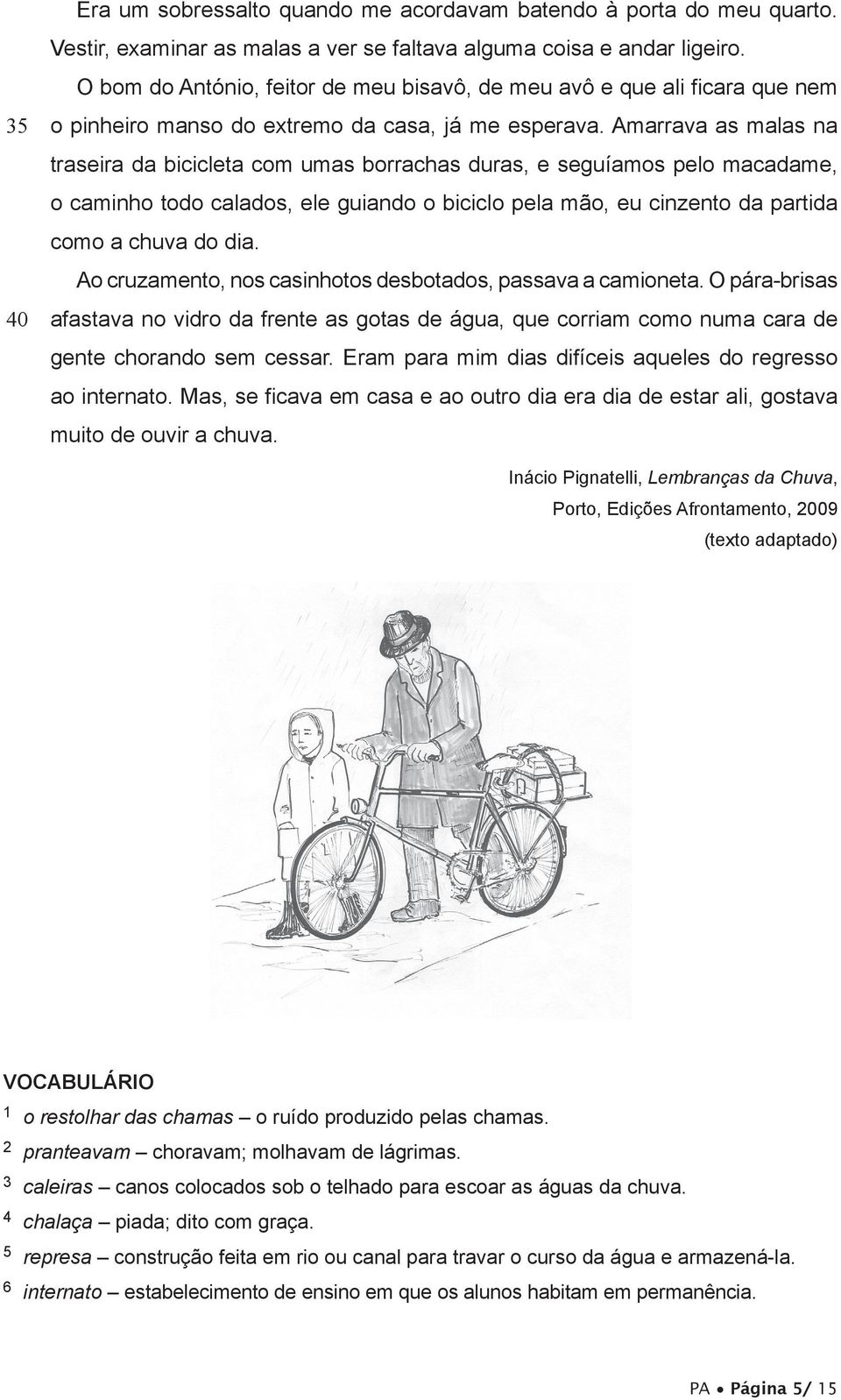 Amarrava as malas na traseira da bicicleta com umas borrachas duras, e seguíamos pelo macadame, o caminho todo calados, ele guiando o biciclo pela mão, eu cinzento da partida como a chuva do dia.