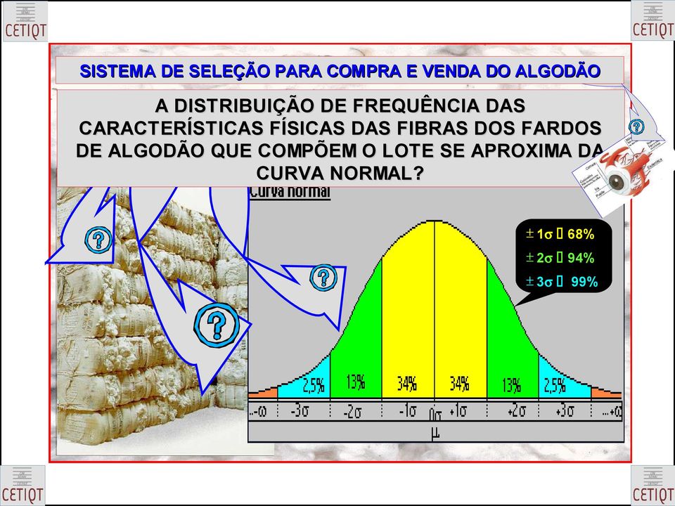 FÍSICAS DAS FIBRAS DOS FARDOS DE ALGODÃO QUE COMPÕEM