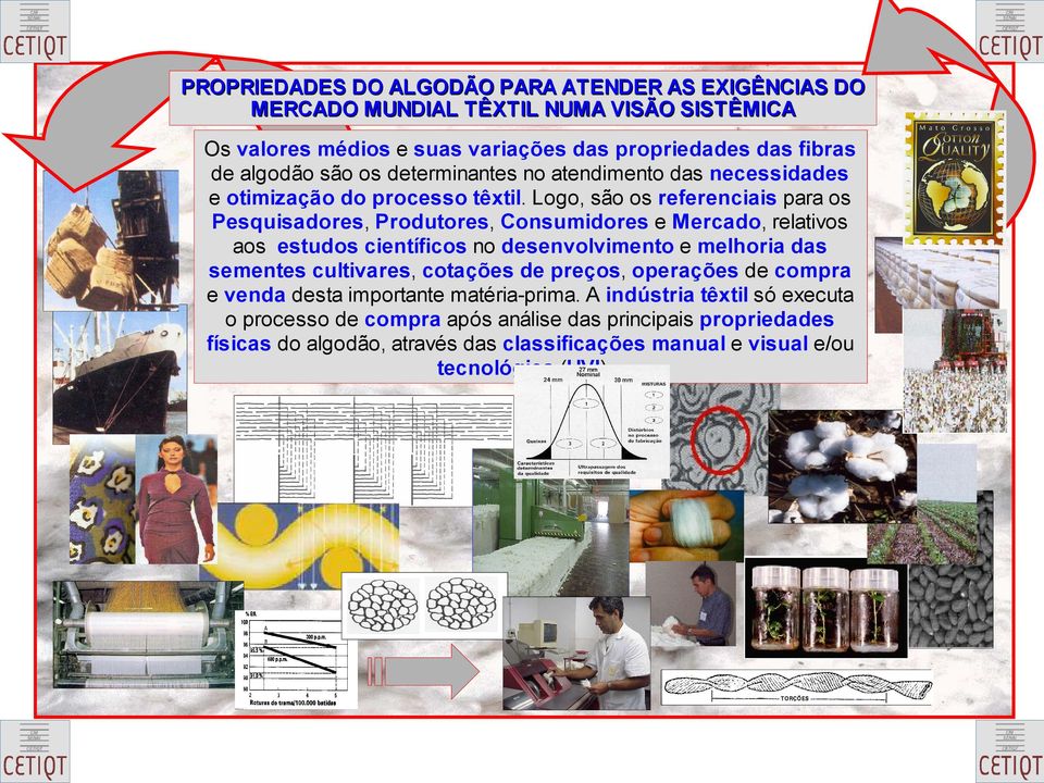 Logo, são os referenciais para os Pesquisadores, Produtores, Consumidores e Mercado, relativos aos estudos científicos no desenvolvimento e melhoria das sementes