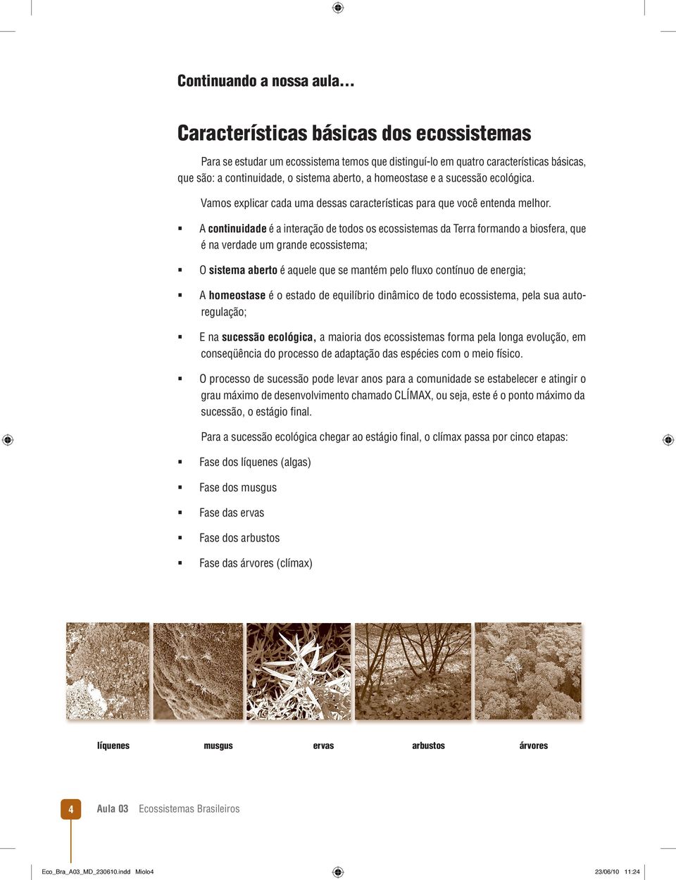 sucessão ecológica. Vamos explicar cada uma dessas características para que você entenda melhor.