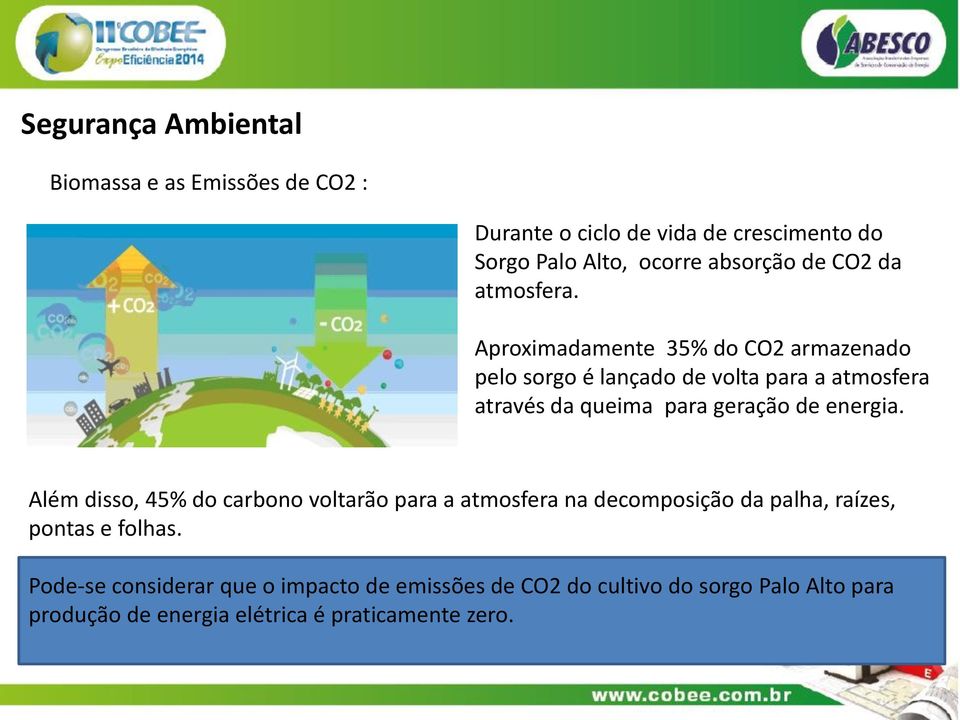 Aproximadamente 35% do CO2 armazenado pelo sorgo é lançado de volta para a atmosfera através da queima para geração de energia.